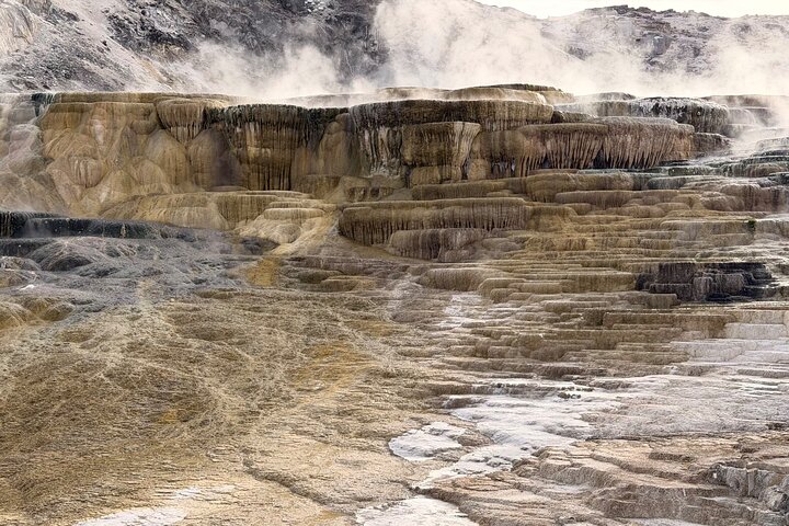Private Guided Tour in Yellowstone National Park