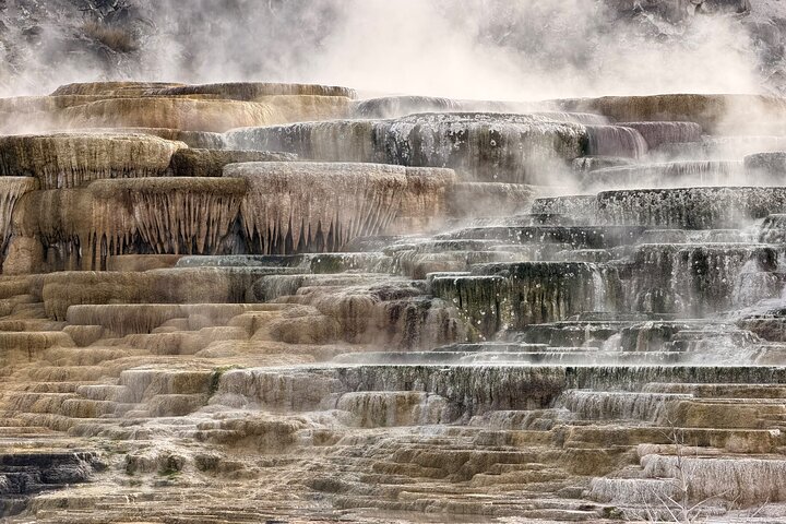 Private Guided Tour in Yellowstone National Park