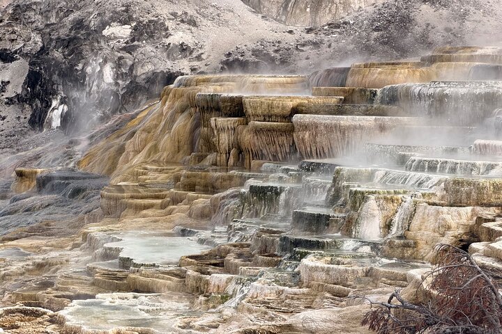 Private Guided Tour in Yellowstone National Park