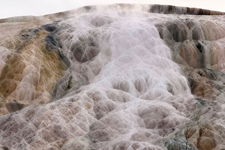 Private Guided Tour in Yellowstone National Park