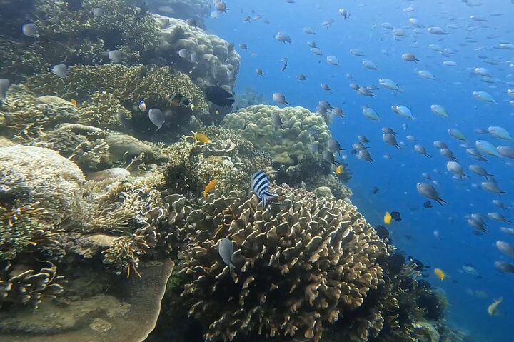 Private Snorkeling Tour – Gili Kondo, Gili Bidara & Gili Kapal