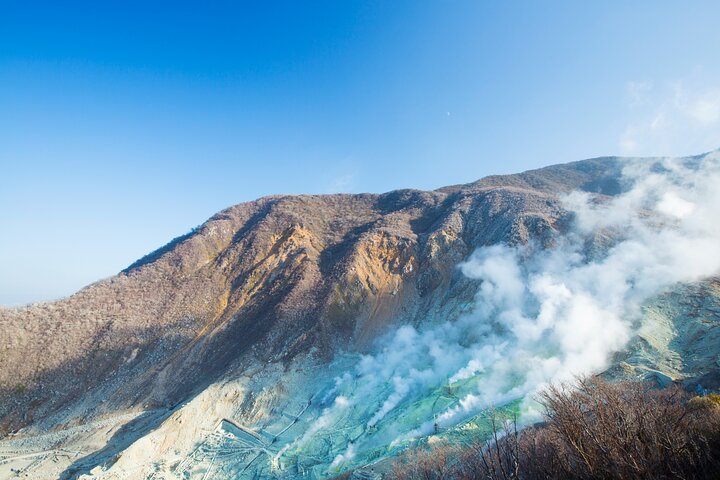 Mt. Fuji & Hakone Bus Tour Bullet Train Return & 28-Hotel Pick-up