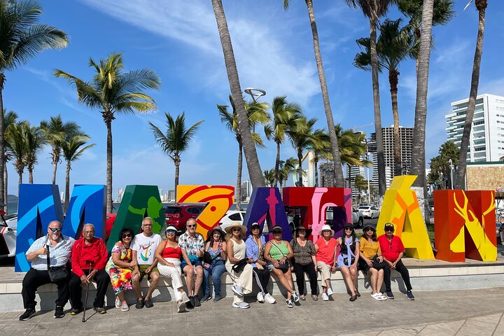 Mazatlan van for hire at cruise terminal – Bilingual Driver Incl.