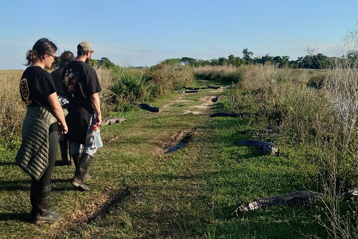 Iberá Wetlands Safari