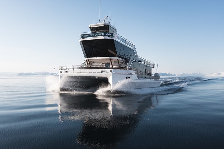 Stavanger Silent Lysefjord and Pulpit Rock Cruise by Hybrid Boat