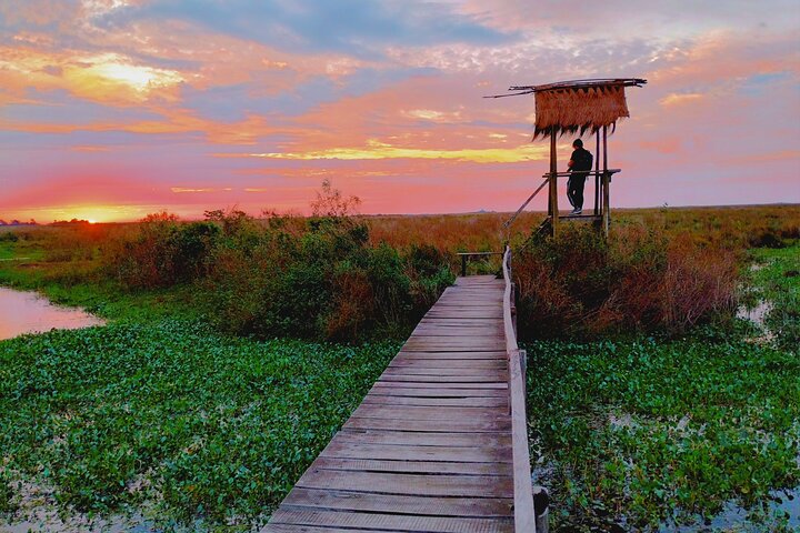 Iberá Wetlands Safari