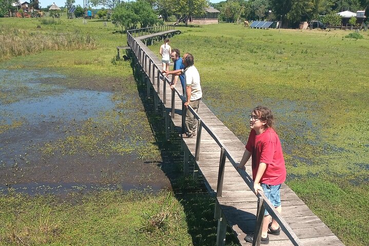Iberá Wetlands Safari