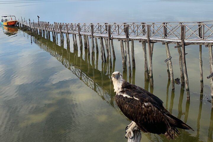 Holbox 3 Island Group Tour