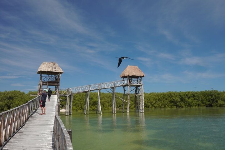 Holbox 3 Island Group Tour