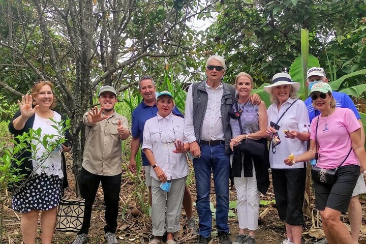 Cocoa and Tropical Fruits Farm with Fine Chocolate Experience
