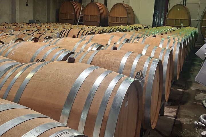 Napier: Afternoon Wine Tasting + visit Silky Oaks Chocolates