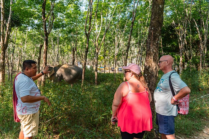 Khao Lak Elephant Sanctuary, Waterfall & Turtle Conservation