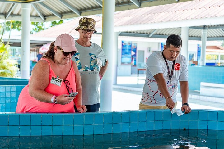 Khao Lak Elephant Sanctuary, Waterfall & Turtle Conservation