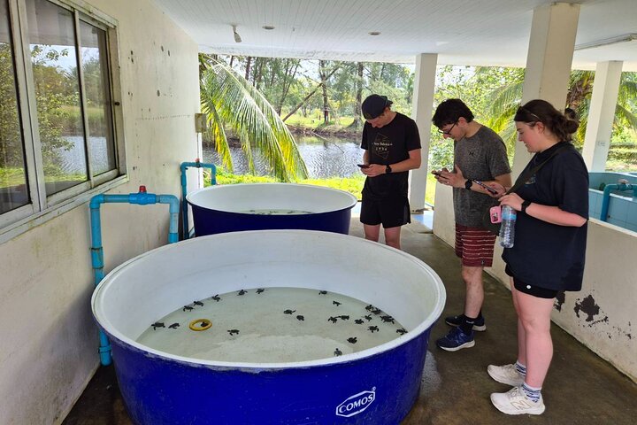 Khao Lak Elephant Sanctuary, Waterfall & Turtle Conservation