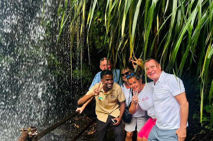 Best of Grenada: Waterfall, Grand Etang & Chocolate Half Day Tour
