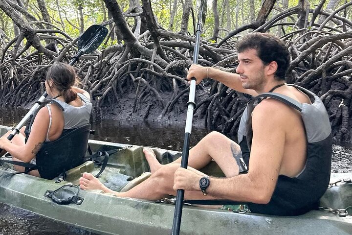 Mida creek mangrove Kayaking adventure in Watamu, Kenya