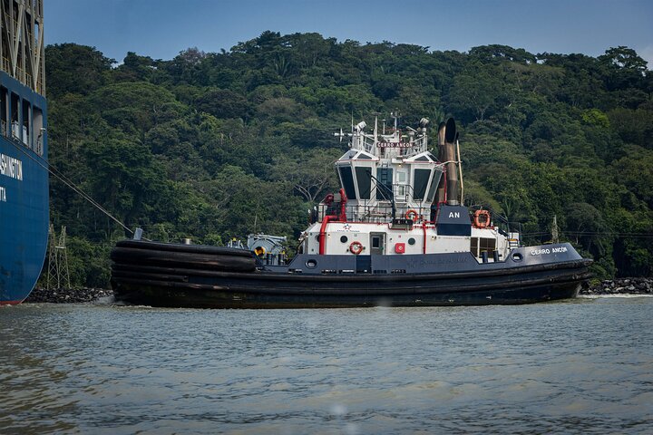 Gatun Lake: Monkeys & Exotic Wildlife by the Canal