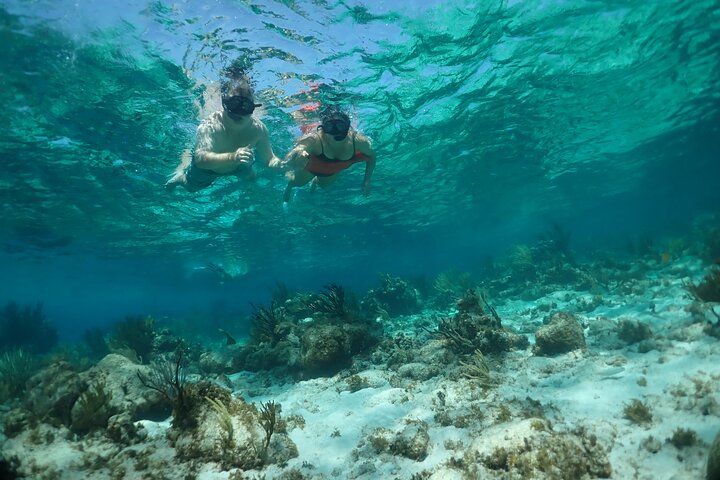 Stingray City Sandbar, Snorkel, Star fish Beach (Family operated)