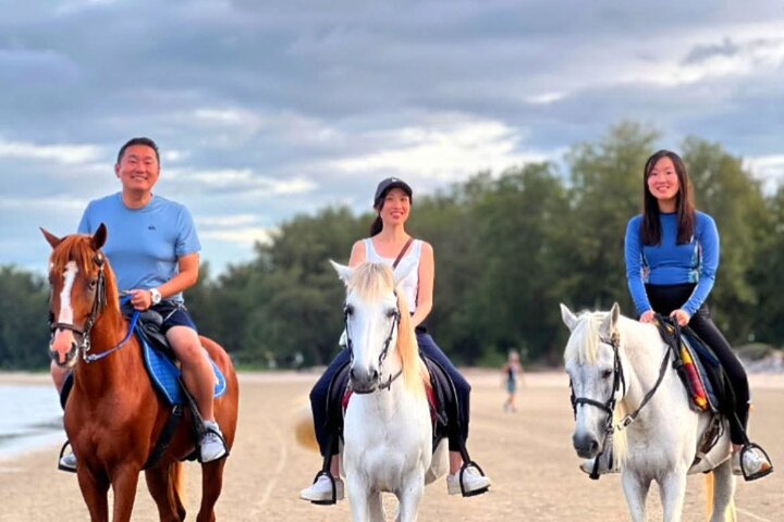 Hua Hin Beach and Trail Horseback Riding Experience
