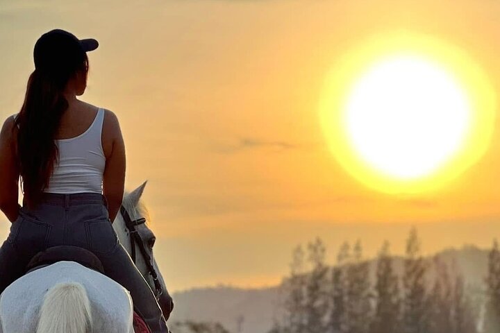 Hua Hin Beach and Trail Horseback Riding Experience