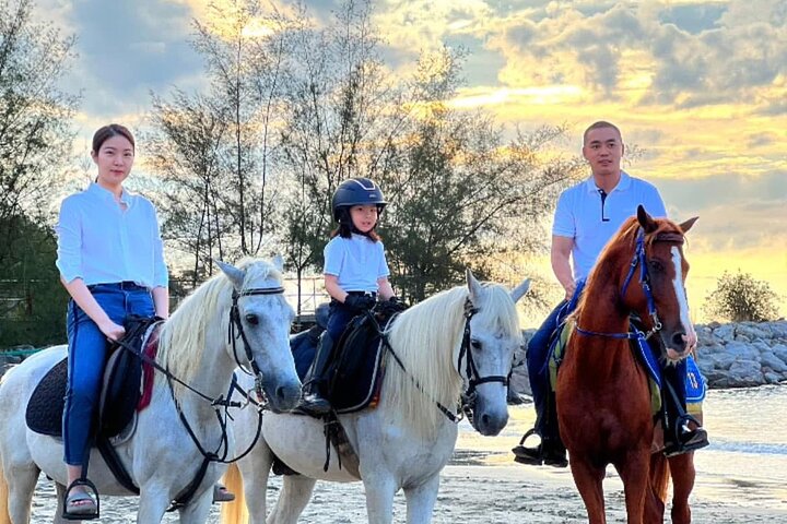Hua Hin Beach and Trail Horseback Riding Experience