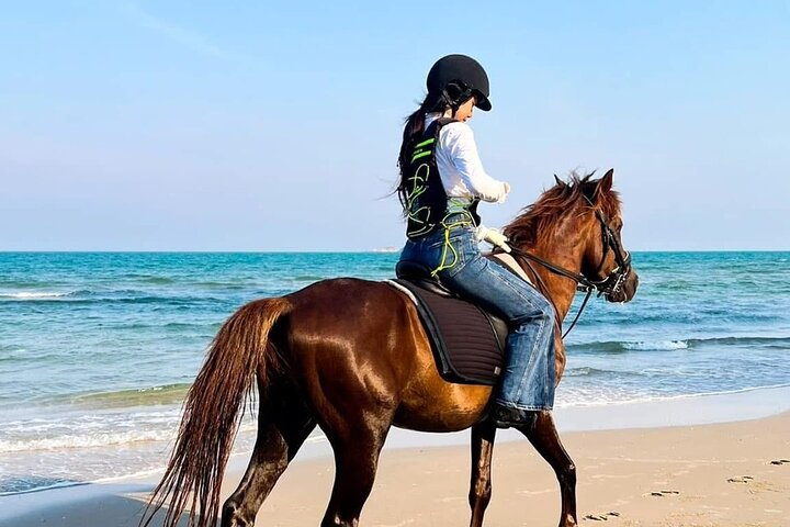 Hua Hin Beach and Trail Horseback Riding Experience