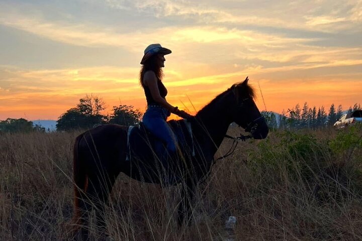 Hua Hin Beach and Trail Horseback Riding Experience