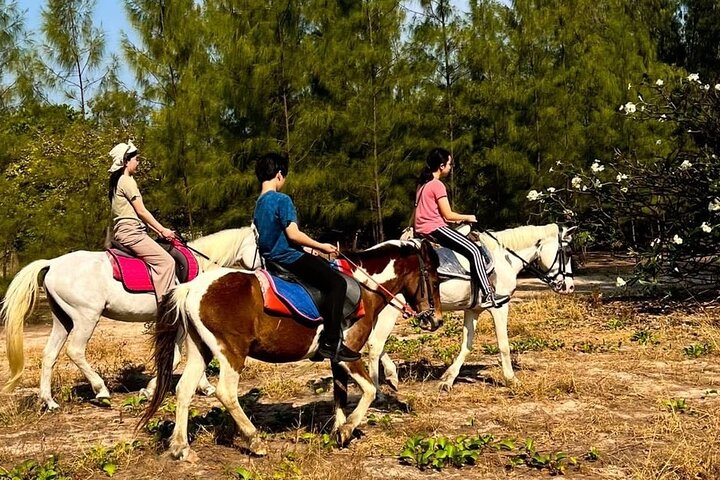 Hua Hin Beach and Trail Horseback Riding Experience