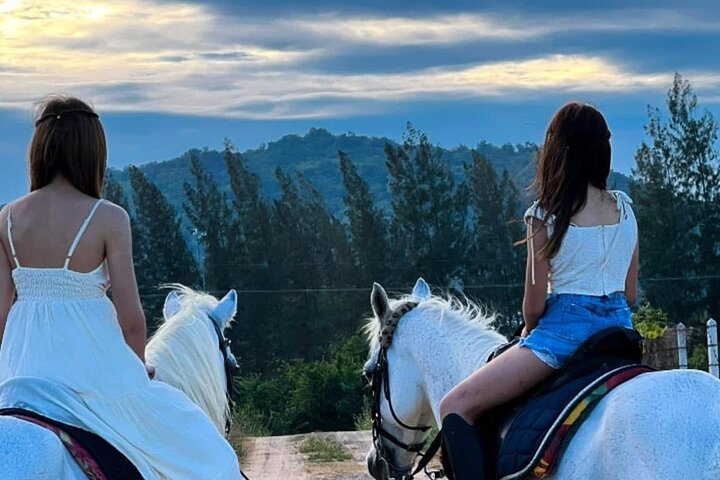 Hua Hin Beach and Trail Horseback Riding Experience