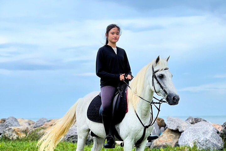 Hua Hin Beach and Trail Horseback Riding Experience