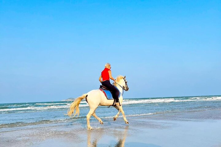 Hua Hin Beach and Trail Horseback Riding Experience