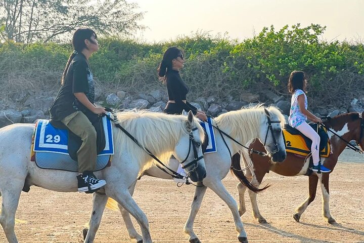 Hua Hin Beach and Trail Horseback Riding Experience