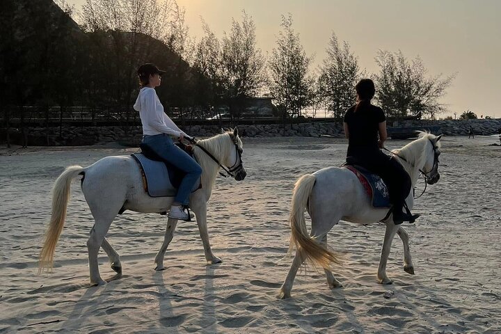 Hua Hin Beach and Trail Horseback Riding Experience