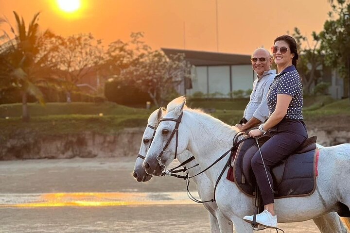 Hua Hin Beach and Trail Horseback Riding Experience