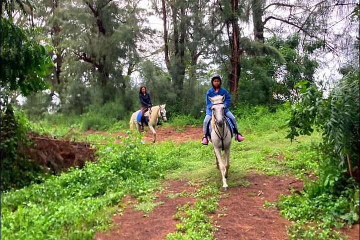 Hua Hin Beach and Trail Horseback Riding Experience