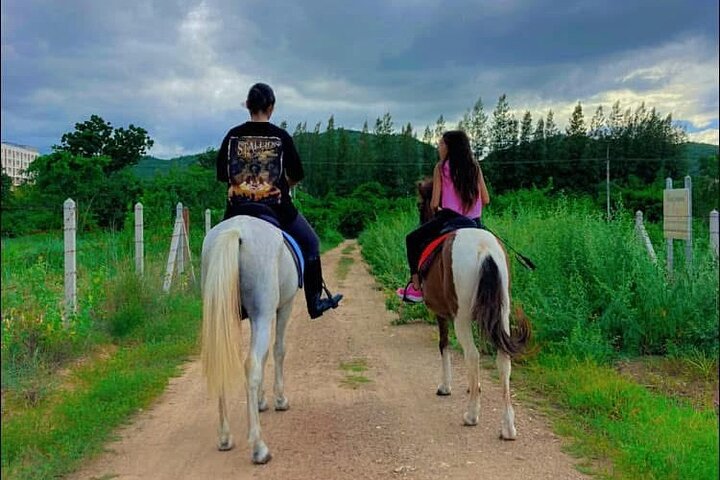 Hua Hin Beach and Trail Horseback Riding Experience