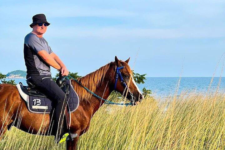 Hua Hin Beach and Trail Horseback Riding Experience
