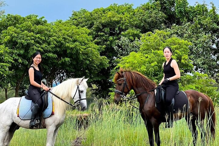 Hua Hin Beach and Trail Horseback Riding Experience