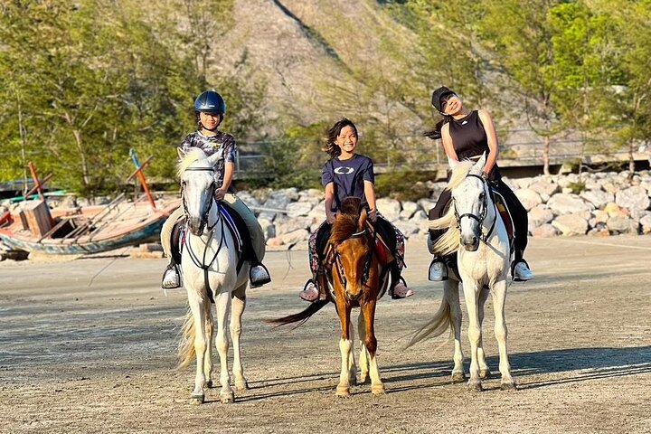 Hua Hin Beach and Trail Horseback Riding Experience