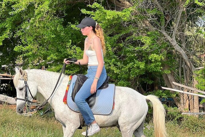 Hua Hin Beach and Trail Horseback Riding Experience