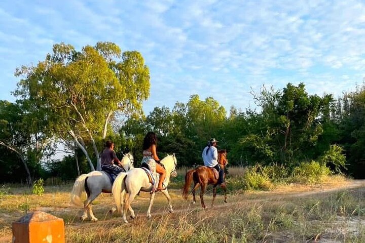 Hua Hin Beach and Trail Horseback Riding Experience