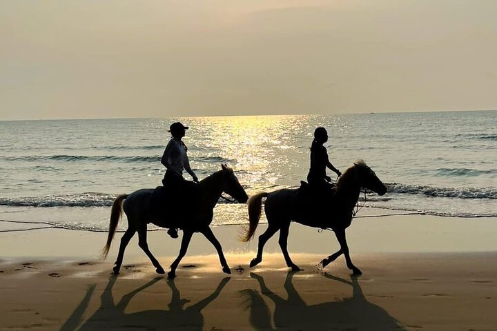 Hua Hin Beach and Trail Horseback Riding Experience
