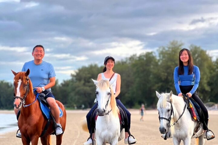 Horse Riding for All Skill Levels at Hua Hin Beach & Forest Trail