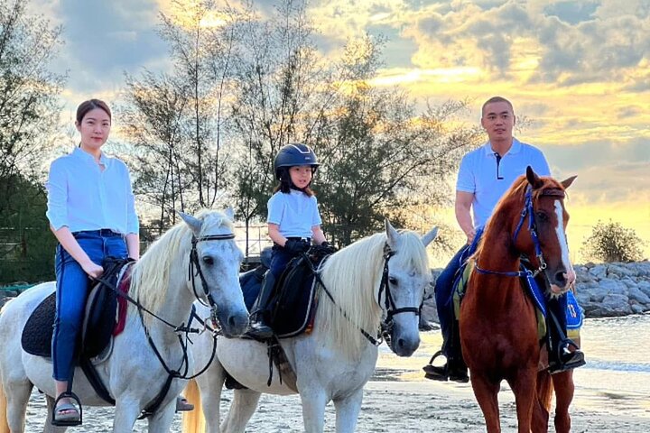 Horse Riding for All Skill Levels at Hua Hin Beach & Forest Trail