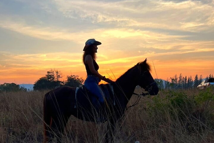 Horse Riding for All Skill Levels at Hua Hin Beach & Forest Trail