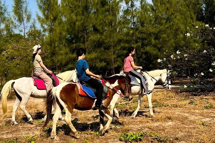 Horse Riding for All Skill Levels at Hua Hin Beach & Forest Trail