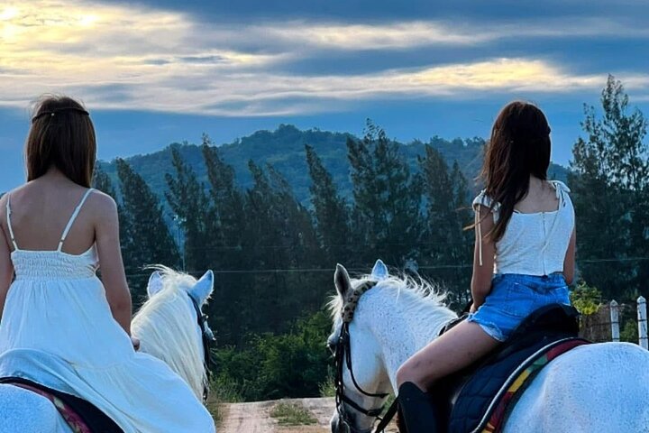 Horse Riding for All Skill Levels at Hua Hin Beach & Forest Trail
