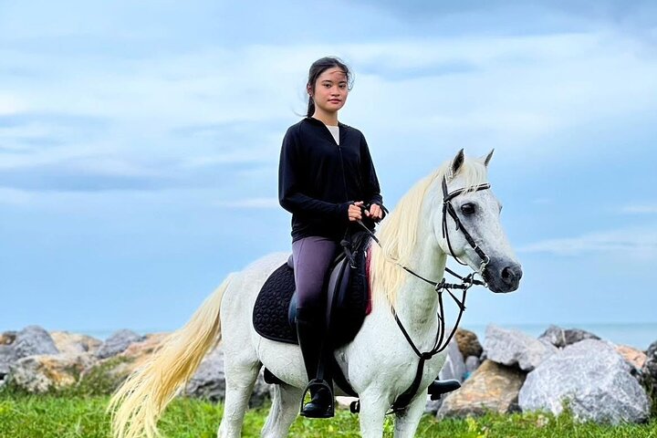 Horse Riding for All Skill Levels at Hua Hin Beach & Forest Trail