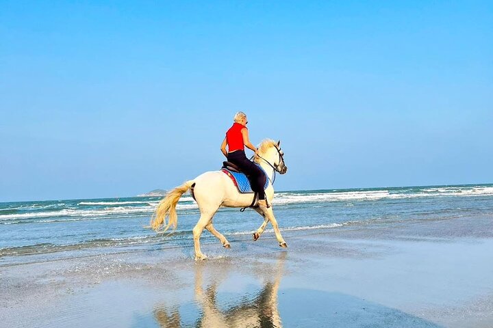 Horse Riding for All Skill Levels at Hua Hin Beach & Forest Trail