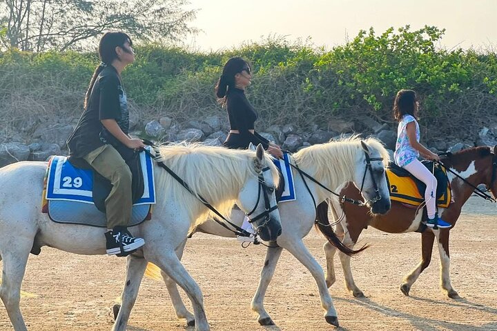 Horse Riding for All Skill Levels at Hua Hin Beach & Forest Trail
